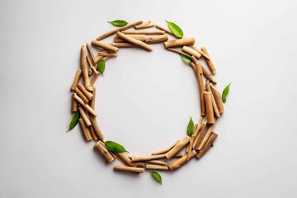 Comment créer un programme de conservation des zones humides pour la biodiversité locale en milieu urbain ?